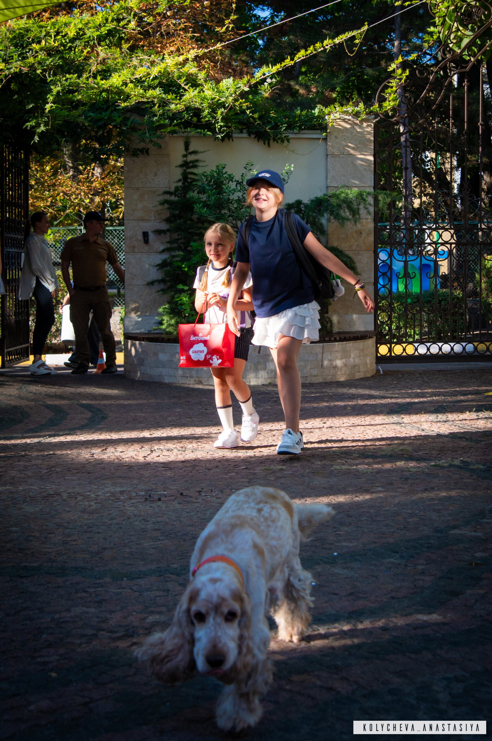 Мрія School – фото 1